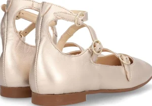 New ANAIS Bailarinas
