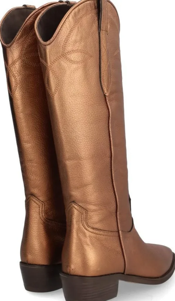 Clearance CECILE Botas Cowboy | Botas